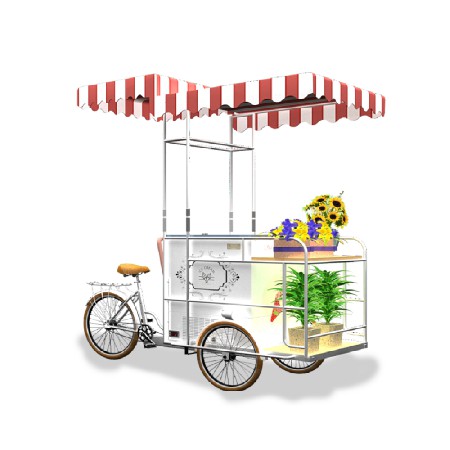 Ice Cream street mobile push cart